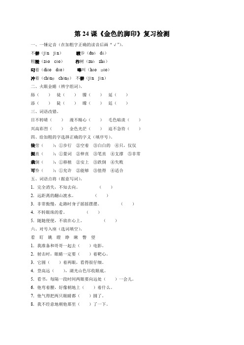 人教版六年级语文上册《金色的脚印》习题1
