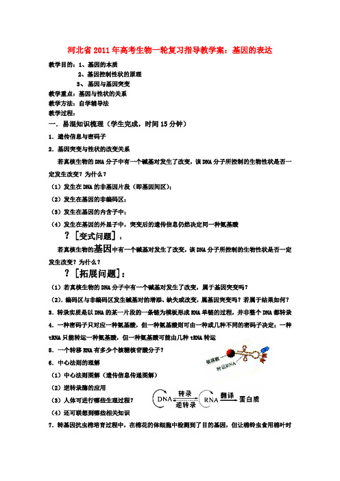河北省高考生物一轮复习指导 基因的表达教学案 新人教版