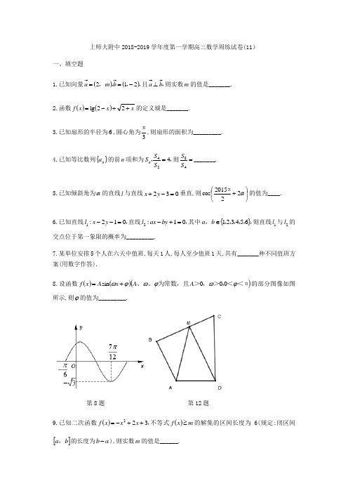 上海师范大学附属中学2018-2019学年高三上数学周练试题(11)(无答案)