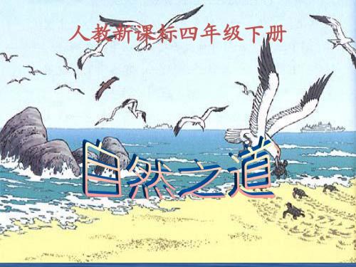 四年级语文下册8《自然之道》ppt课件.