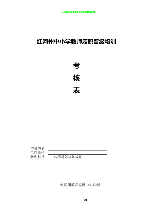 2018《名师是怎样炼成的》中小学教师履职晋级培训考核表