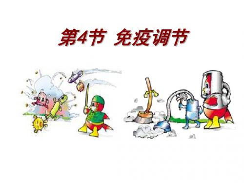 2.4 免疫调节 课件(人教版必修三)