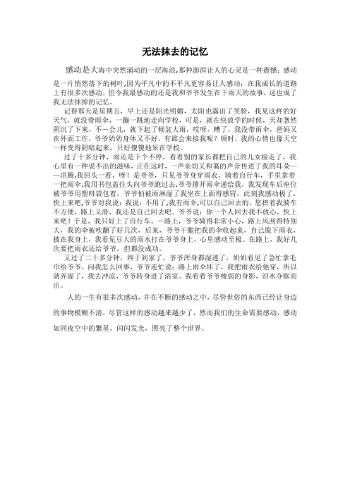 无法抹去的记忆