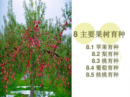 果树育种第八章