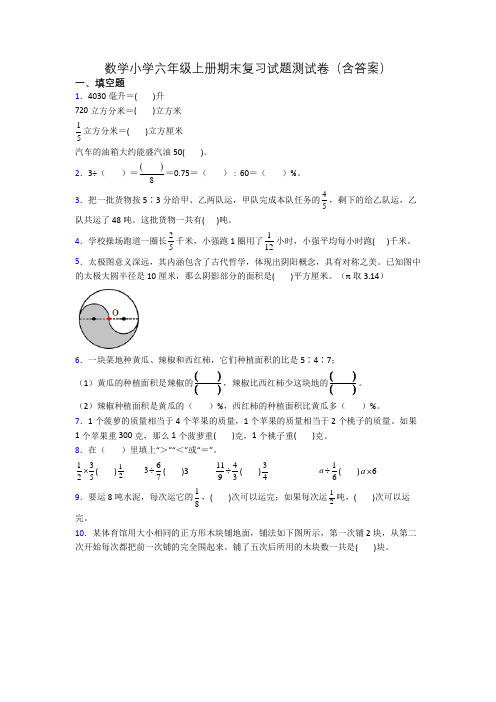 数学小学六年级上册期末复习试题测试卷(含答案)