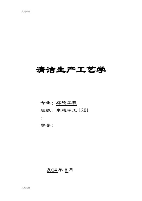清洁生产期末作业