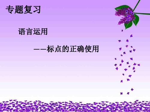 语言运用——标点符号的正确使用