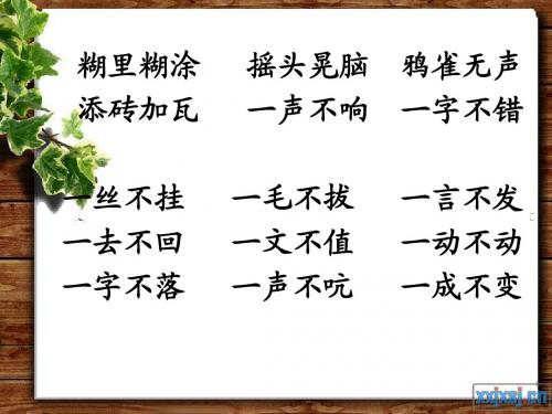 北师大版 二年级下册期末复习 成语
