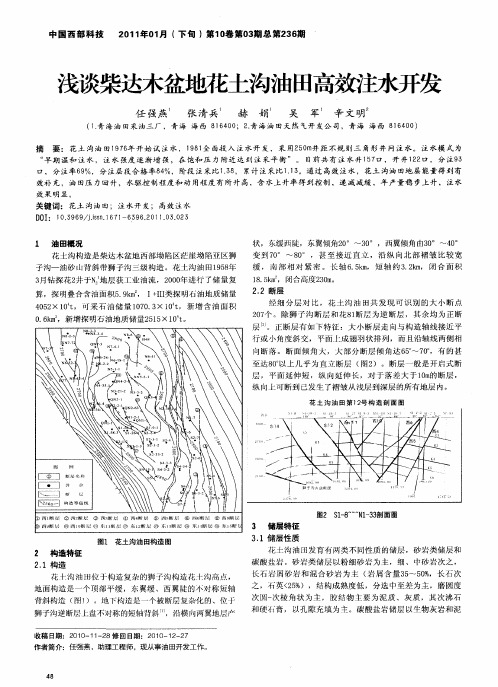 浅谈柴达木盆地花土沟油田高效注水开发