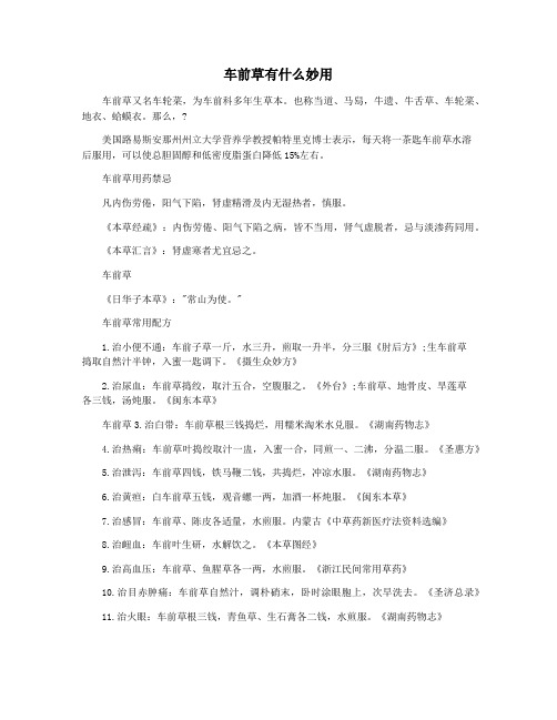 车前草有什么妙用