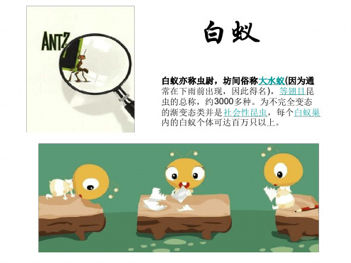 初二生物开放性作业资料