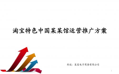 淘宝特色中国馆运营推广方案