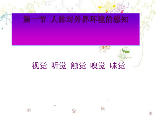 【一线精品】  人体对外界环境的感知15   最新优秀公开PPT课件