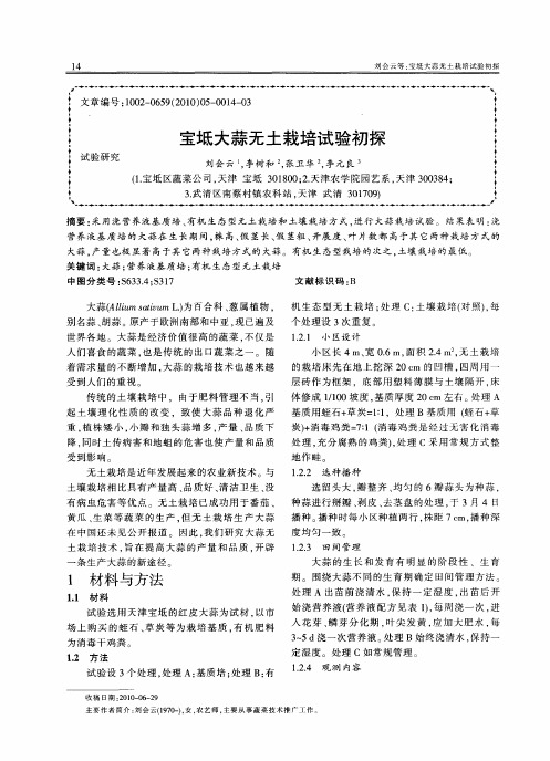 宝坻大蒜无土栽培试验初探
