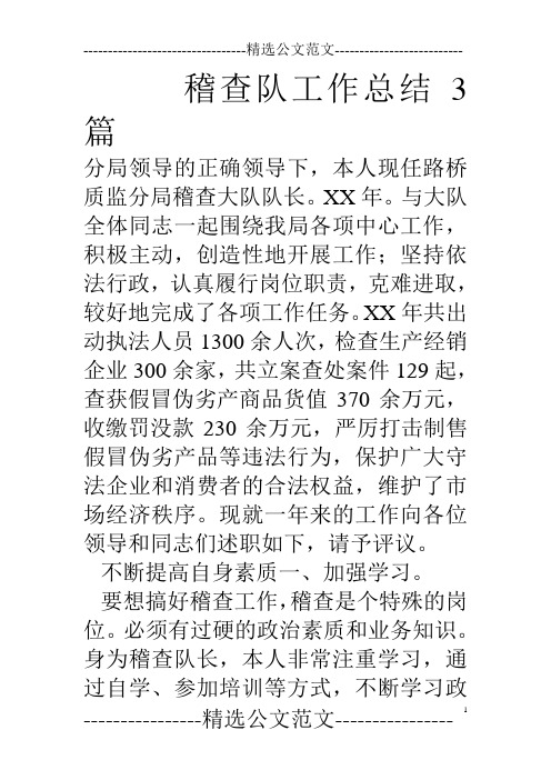 稽查队工作总结3篇