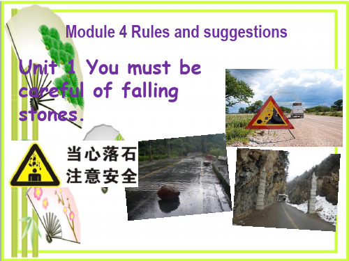 《You must be careful of falling stones》Rules and suggestions 3  图文