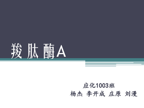 羧肽酶A