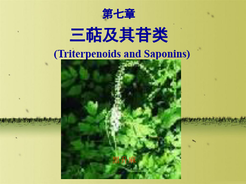 天然药物化学三萜与其苷类