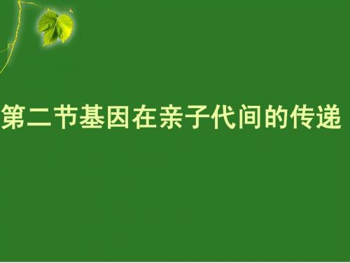 人教版第二节基因在亲子代间的传递