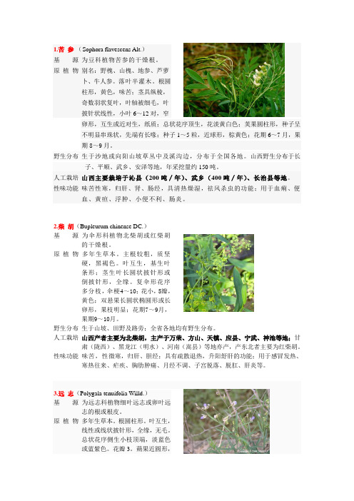 山西药材信息简介