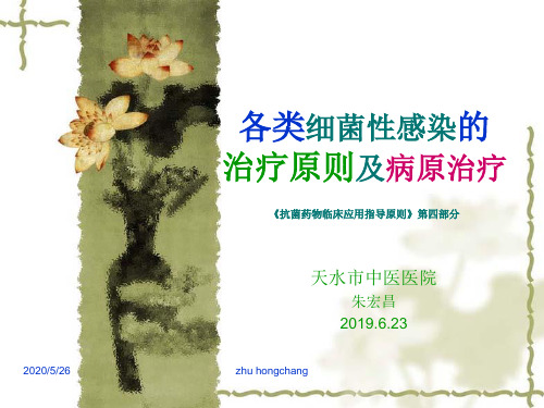各类细菌性感染的治疗原则及病原治疗 朱鸿昌 共26页PPT资料