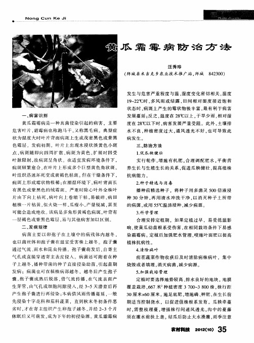 黄瓜霜霉病防治方法