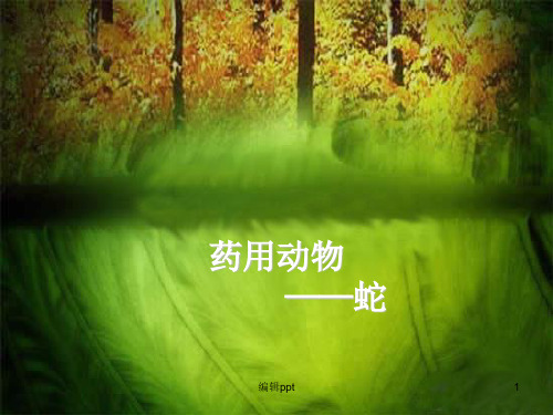 药用动物蛇