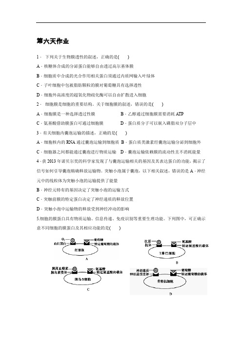 辽宁省沈阳市东北育才学校2019_2020学年高二生物暑假作业：第六天作业 Word版含答案