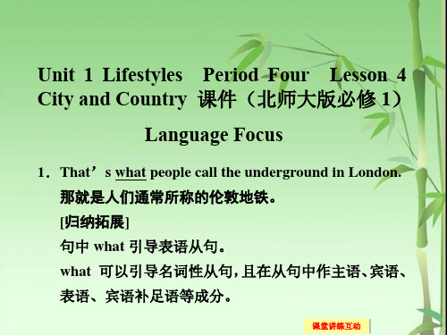 北师大版高中英语必修1 Unit 1《Lifestyles》(Period Four)课件