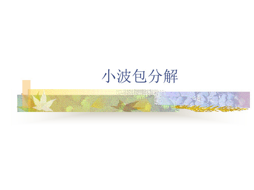 【精品模板】小波包分解