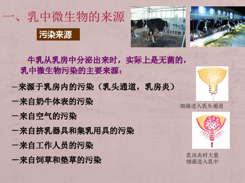 第三章 原料乳卫生控制及其控制