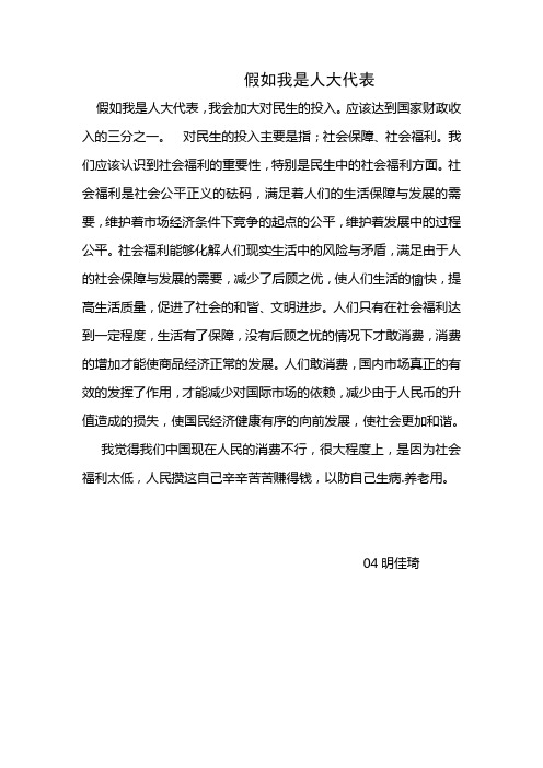假如我是人大代表