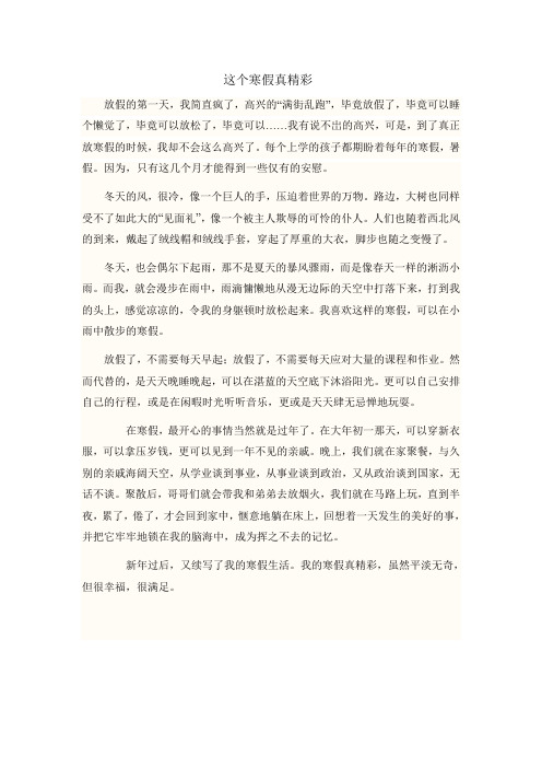 这个寒假真精彩