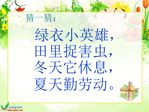 S版二年级上识字一保护庄稼好卫兵
