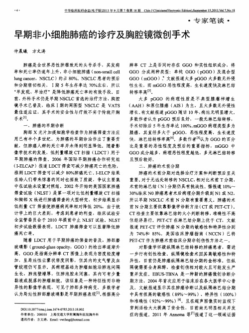早期非小细胞肺癌的诊疗及胸腔镜微创手术