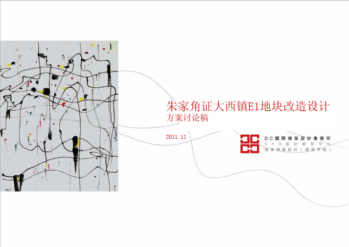 上海朱家角证大西镇商业设计-DC