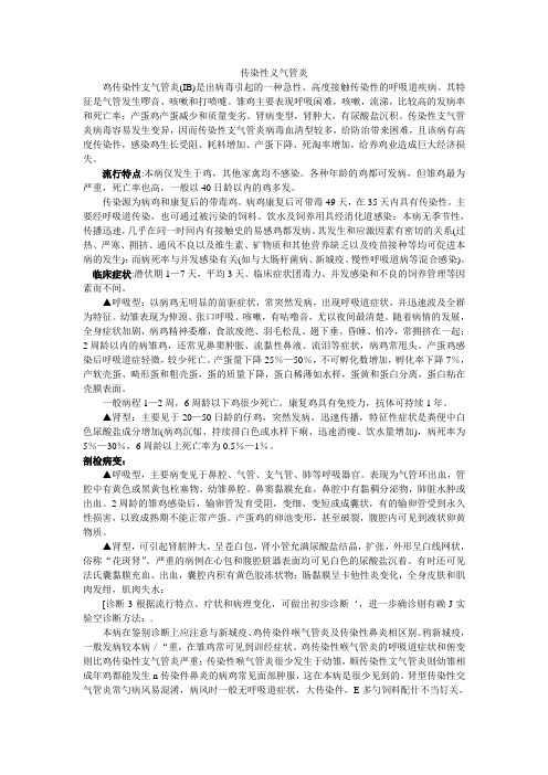 传染性支气管炎