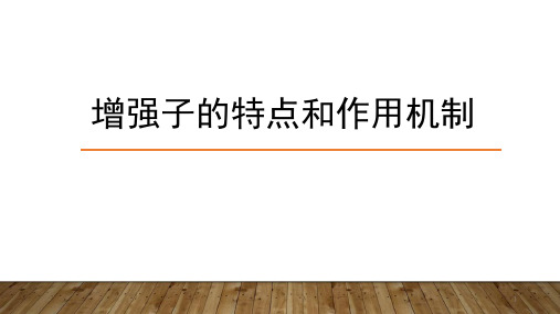 增强子的特点及其作用机制PPT演示课件