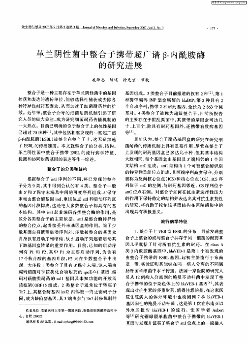 革兰阴性菌中整合子携带超广谱β-内酰胺酶的研究进展