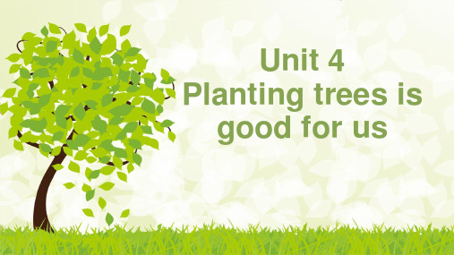 六年级英语下册课件-Unit 4 Planting trees is good for us（36）-湘少版