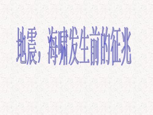 地震,海啸发生前