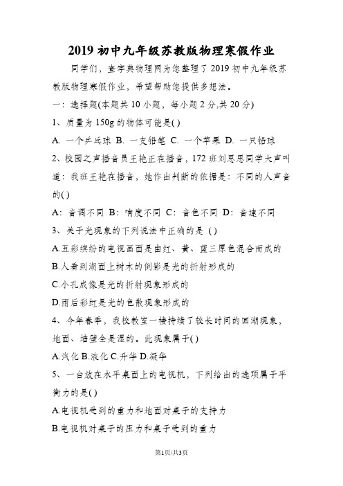 初中九年级苏教版物理寒假作业