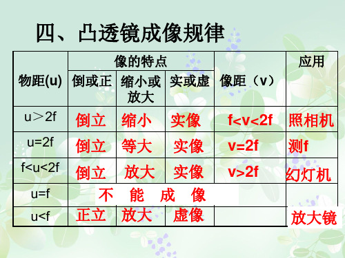 眼和视觉PPT教学课件