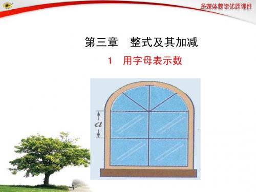 3.1 用字母表示数