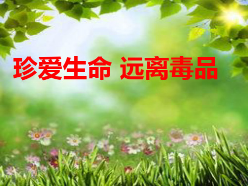 主题班会《珍爱生命,远离毒品》