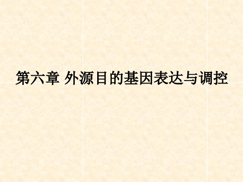 第六章外源目的基因表达和调控