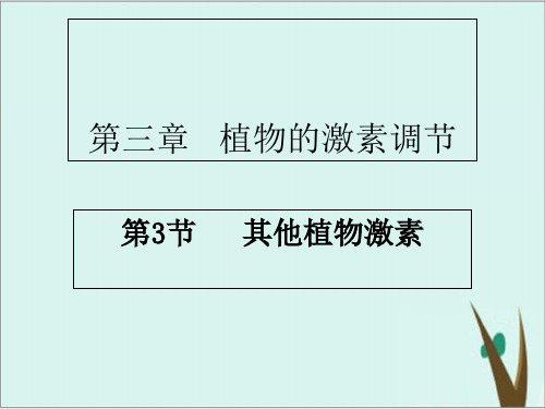 《其他植物激素》人教版高中生物完美课件2