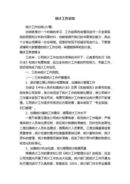 统计工作总结