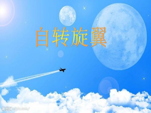 三年级科学上册6.1《自转旋翼》 精品优选PPY课件4大象版