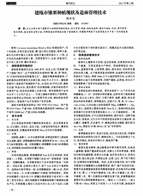 建瓯市锥栗种植现状及造林管理技术